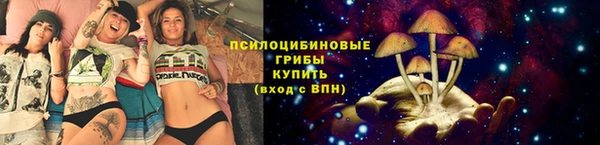 твердый Новокубанск