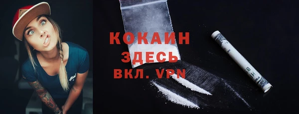спиды Новодвинск