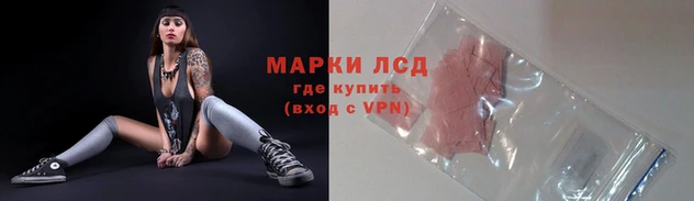 спиды Новодвинск