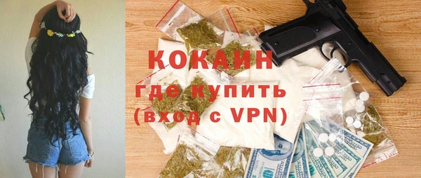 спиды Новодвинск