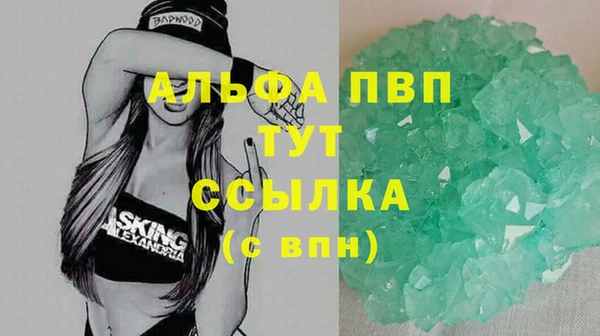спиды Новодвинск