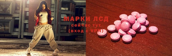 спиды Новодвинск