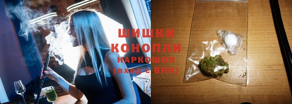 твердый Новокубанск