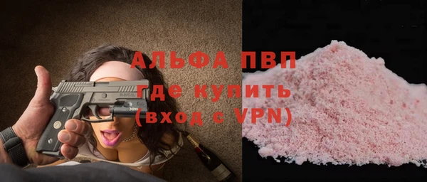 спиды Новодвинск
