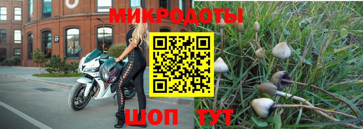 Галлюциногенные грибы GOLDEN TEACHER Южно-Сахалинск